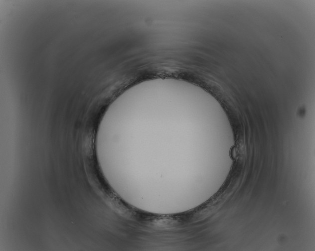 X0000094190468200711241619