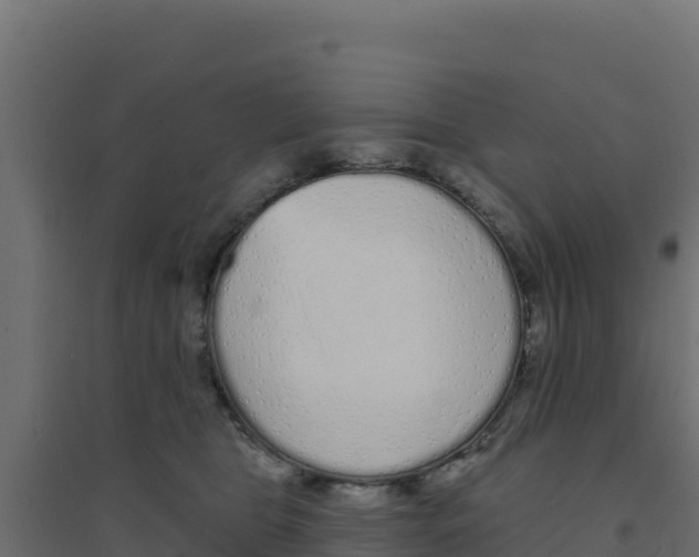 X0000094190469200711241619