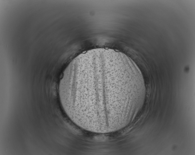 X0000094190470200711241619