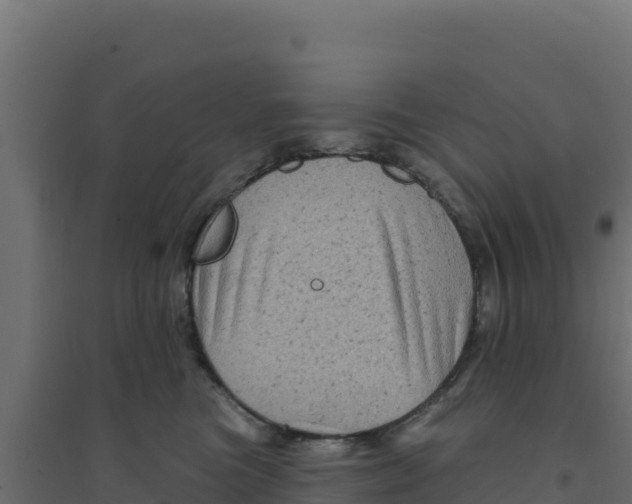 X0000094190473200711241619