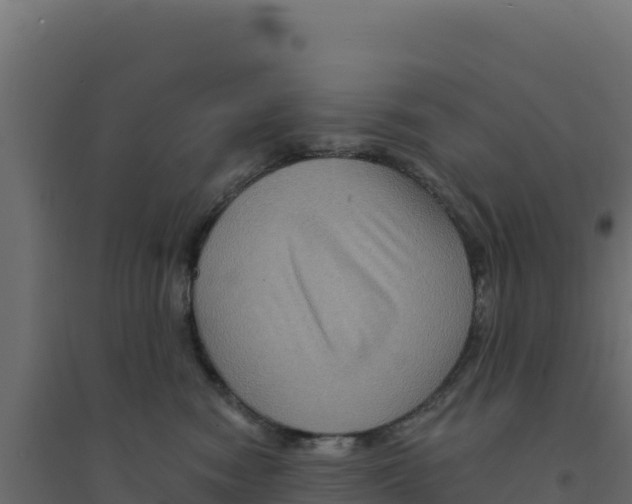 X0000094190474200711241619