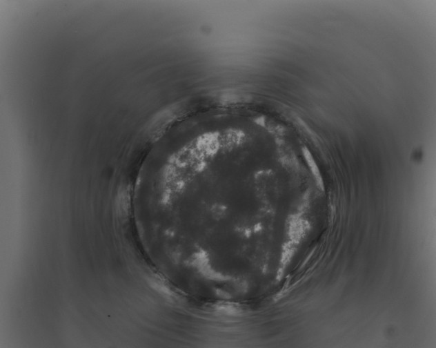 X0000094190475200711241619