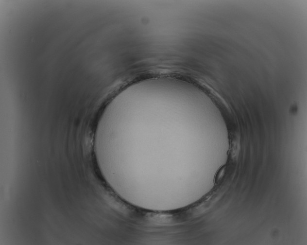 X0000094190476200711241619