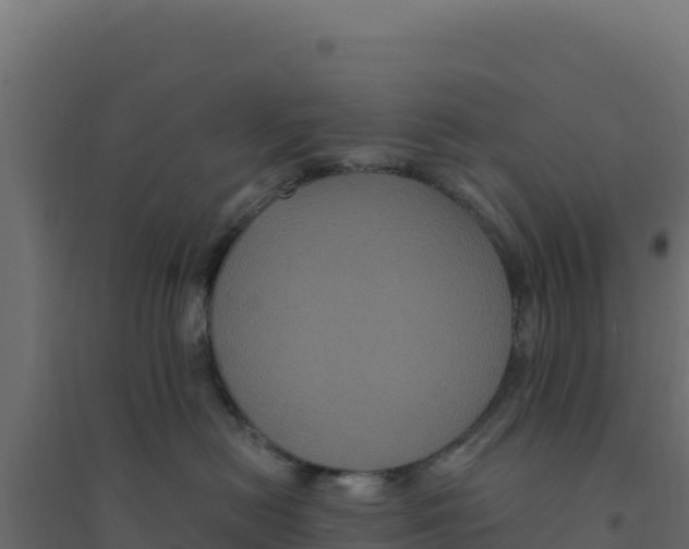X0000094190478200711241619