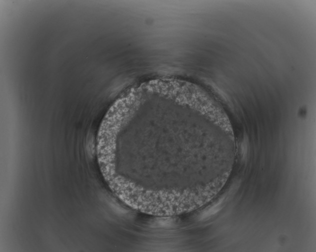 X0000094190479200711241619