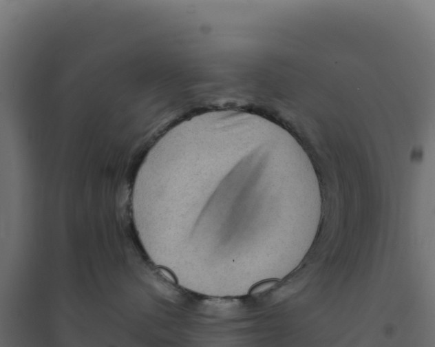 X0000094190480200711241619