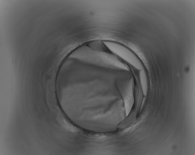 X0000094190481200711241618