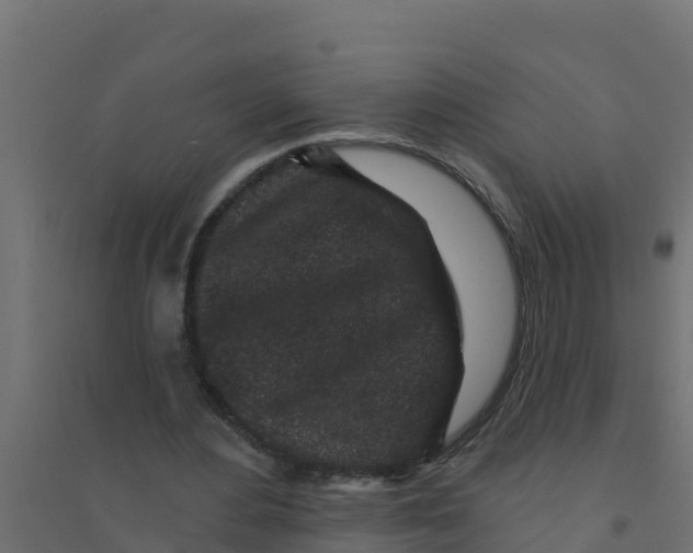 X0000094190484200711241618