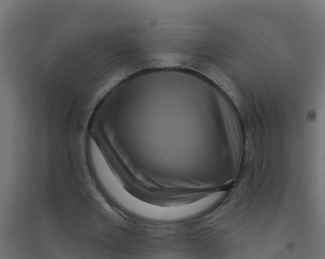 X0000094190485200711241618