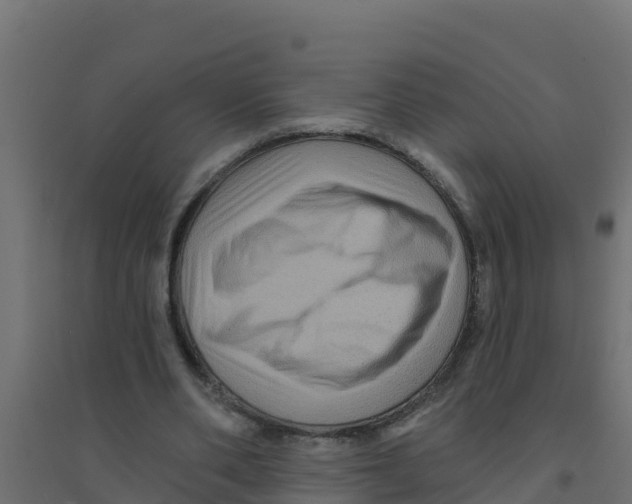 X0000094190486200711241618