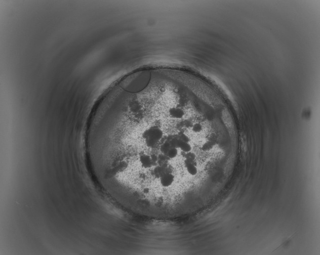 X0000094190487200711241618