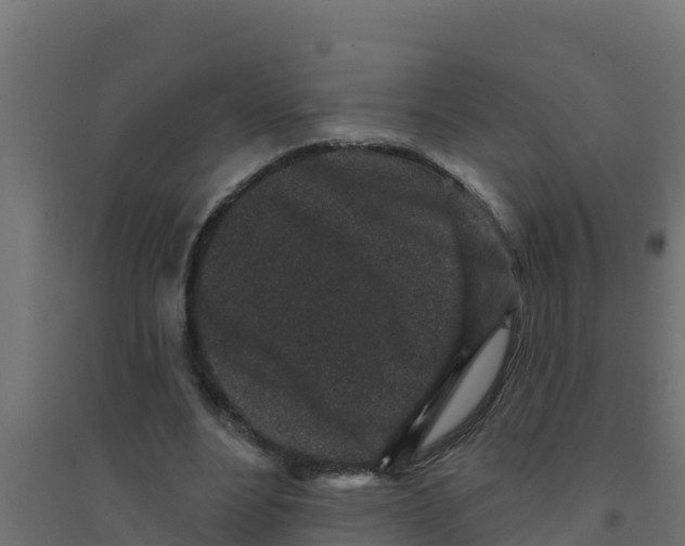 X0000094190488200711241618