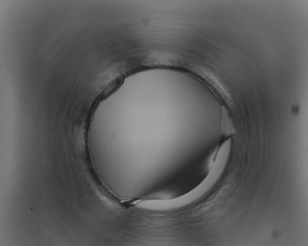 X0000094190489200711241618