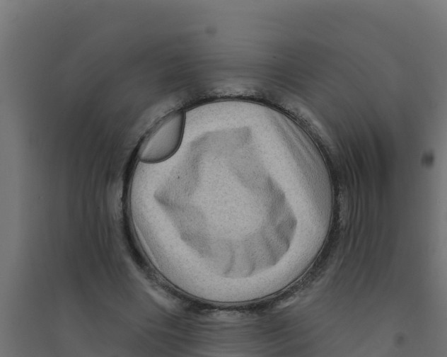 X0000094190490200711241618