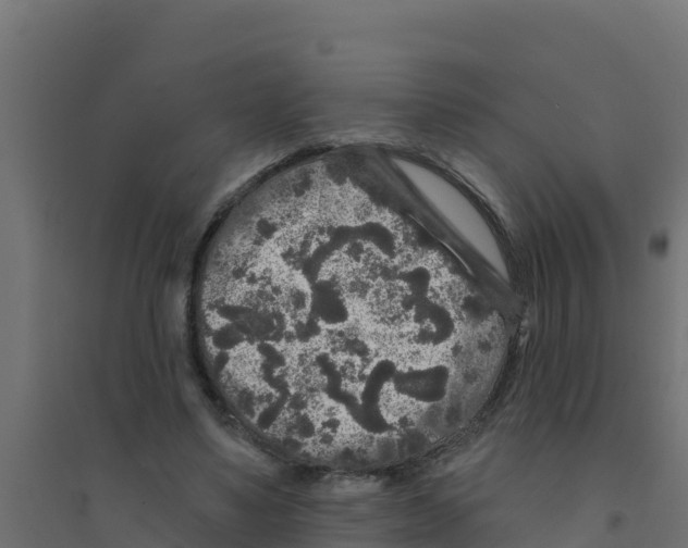 X0000094190491200711241618