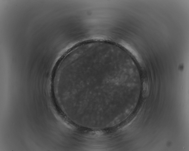 X0000094190492200711241618