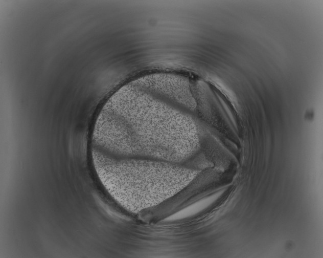 X0000094190493200711241618