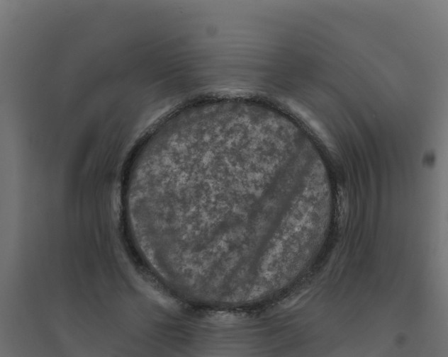 X0000094190494200711241618