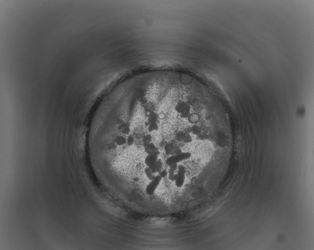 X0000094190495200711241618