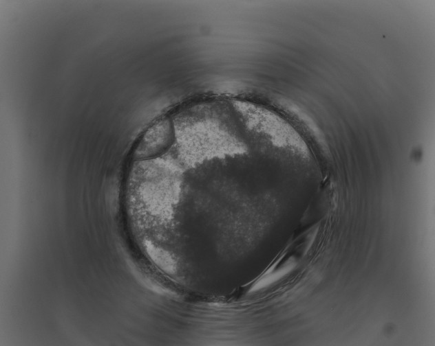 X0000094190496200711241618