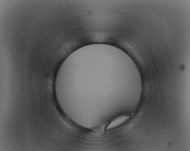 X0000094190497200711241618