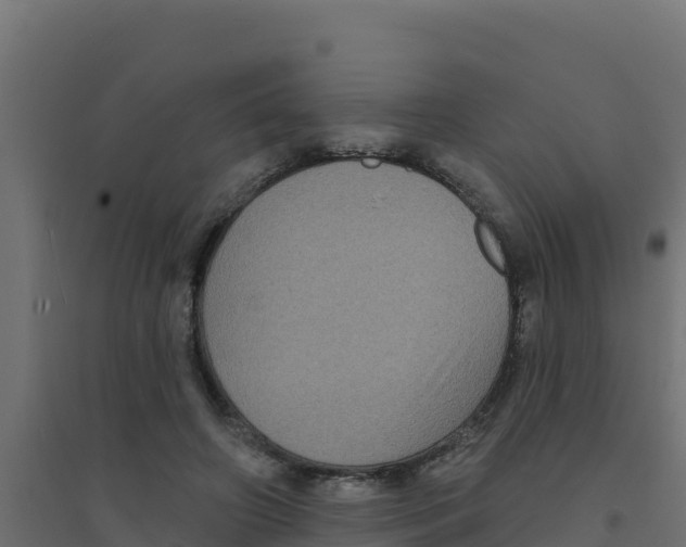 X0000094190498200711241618