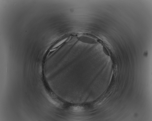 X0000094190500200711241618