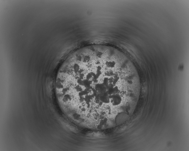 X0000094190503200711241618