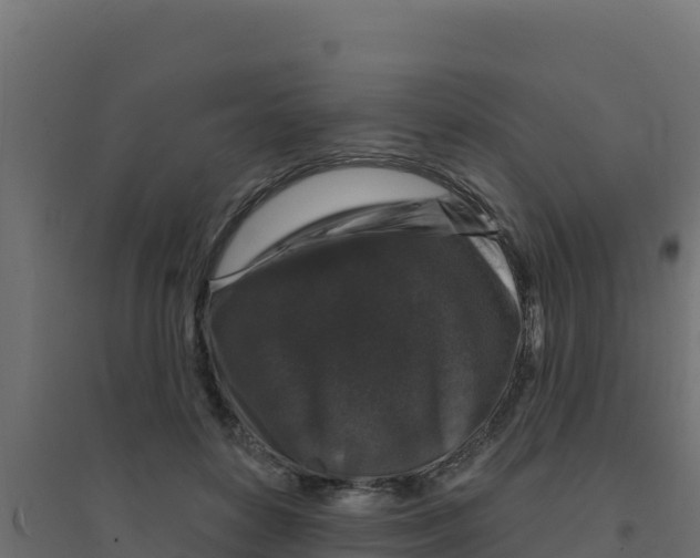 X0000094190504200711241618