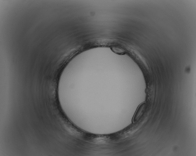 X0000094190505200711241618