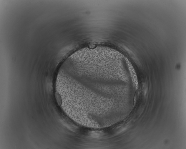 X0000094190508200711241618