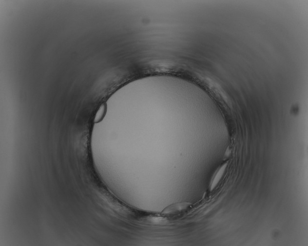 X0000094190509200711241618