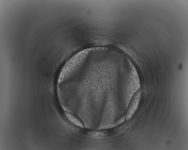 X0000094190512200711241618