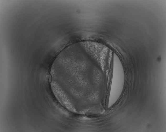 X0000094190513200711241618