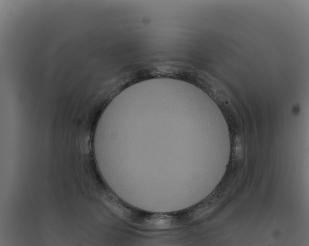 X0000094190514200711241618