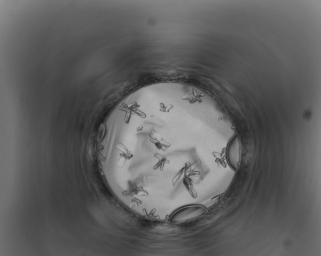 X0000094190515200711241618