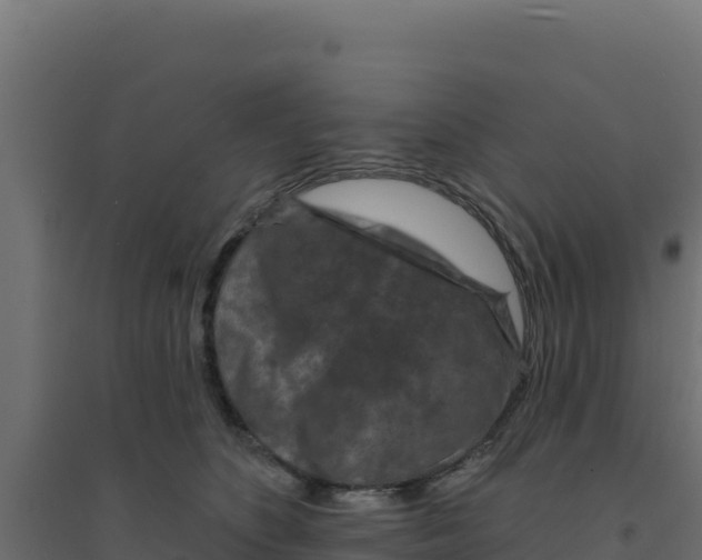 X0000094190516200711241618