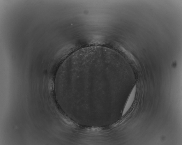 X0000094190517200711241618