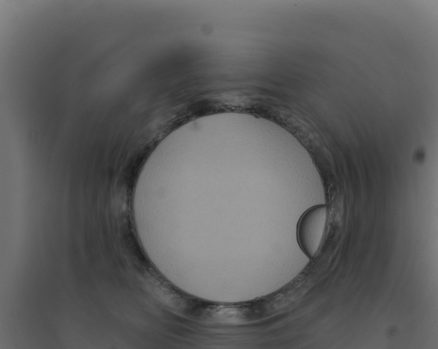 X0000094190518200711241618