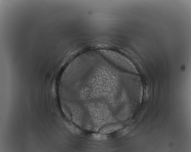X0000094190520200711241618