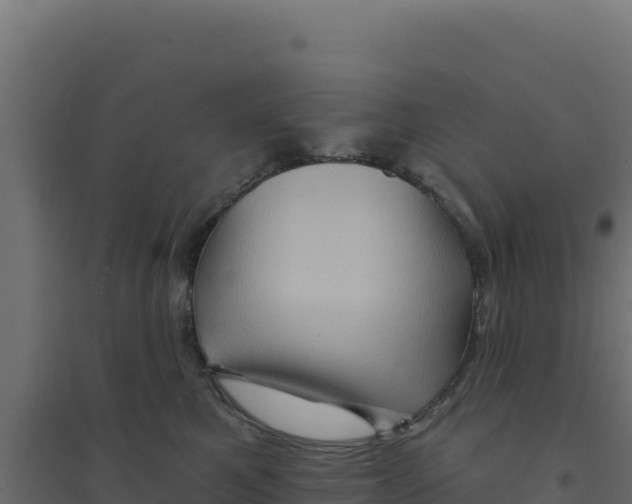 X0000094190521200711241618