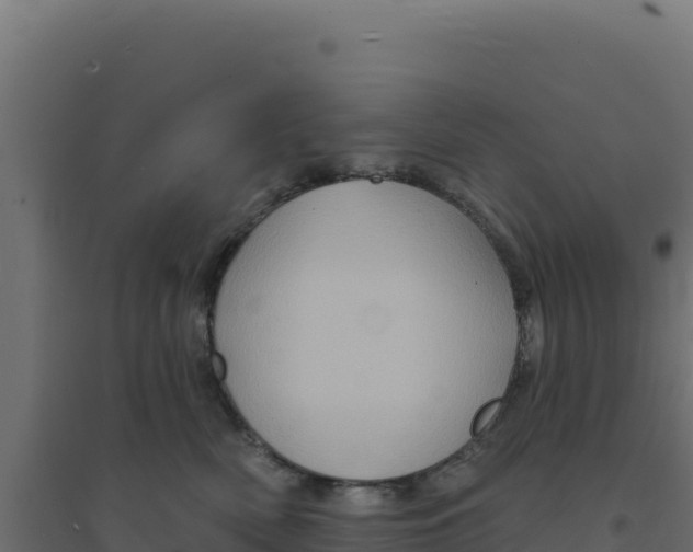 X0000094190522200711241618