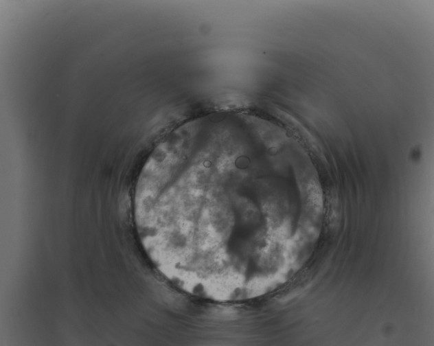 X0000094190523200711241618