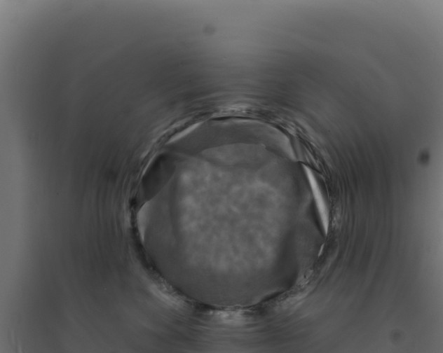 X0000094190524200711241618