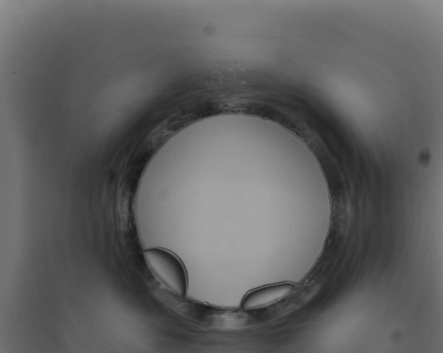 X0000094190525200711241618