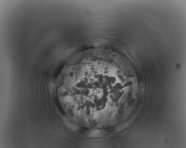 X0000094190527200711241618