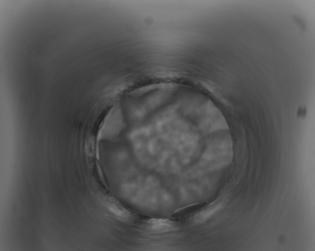 X0000094190528200711241618