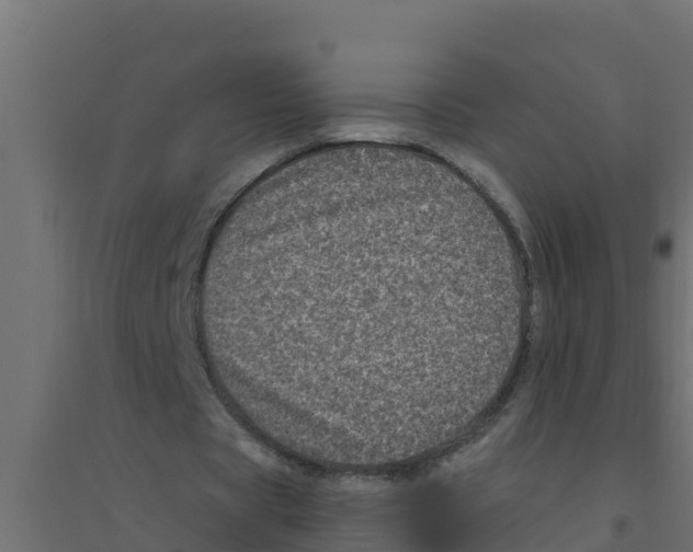 X0000094190529200711241617