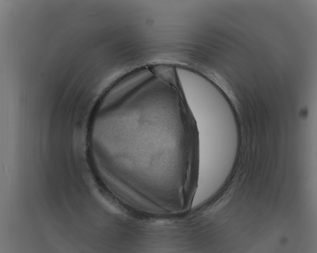 X0000094190530200711241617