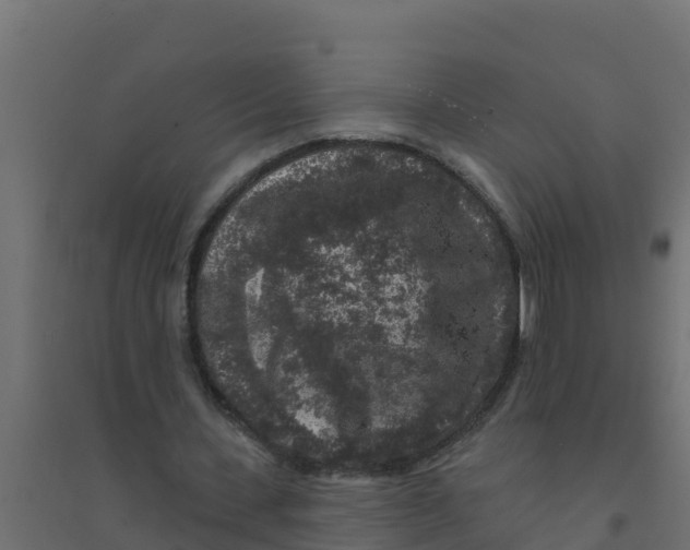 X0000094190531200711241617